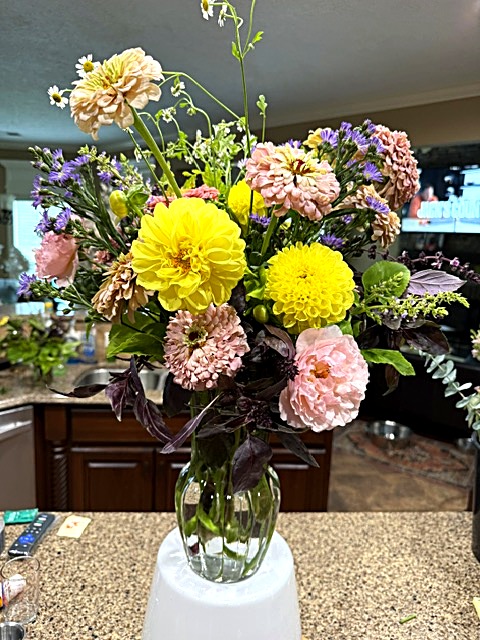 Summer dahlias